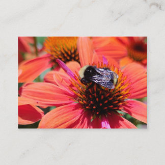 Carte De Visite Bumblebee sur coneflower