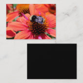 Carte De Visite Bumblebee sur coneflower (Devant / Derrière)