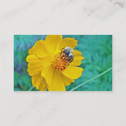 Carte De Visite Bumblebee sur Cosmos (Dos)