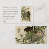 Carte De Visite Buse à grande aile des oiseaux d'Amérique d'Audubo (Devant / Derrière)