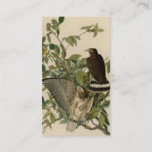 Carte De Visite Buse à grande aile des oiseaux d'Amérique d'Audubo (Dos)