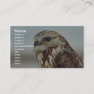 Carte De Visite Buse à pattes rousses