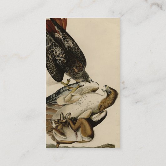 Carte De Visite Buse à queue rouge des oiseaux d'Amérique d'Audubo (Dos)
