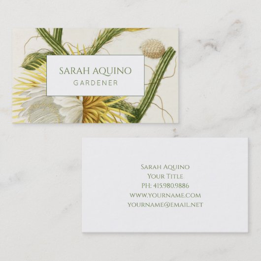 Carte De Visite Cactus à fleurs de jardinier (Devant / Derrière)