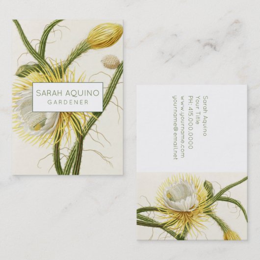 Carte De Visite Cactus au clair de lune (Devant / Derrière)