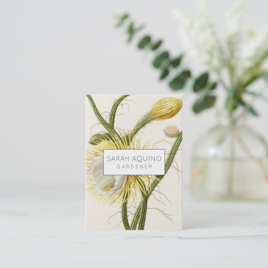 Carte De Visite Cactus au clair de lune (Debout devant)