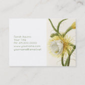 Carte De Visite Cactus au clair de lune (Dos)