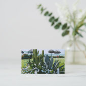 Carte De Visite Cactus au Mexique (Debout devant)