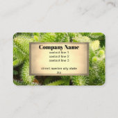 Carte De Visite cactus bloom nature photo double sided  (Dos)