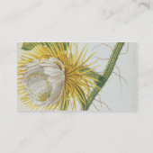 Carte De Visite Cactus : Cierge, Plantae Selectae" 175 de Trew de (Dos)