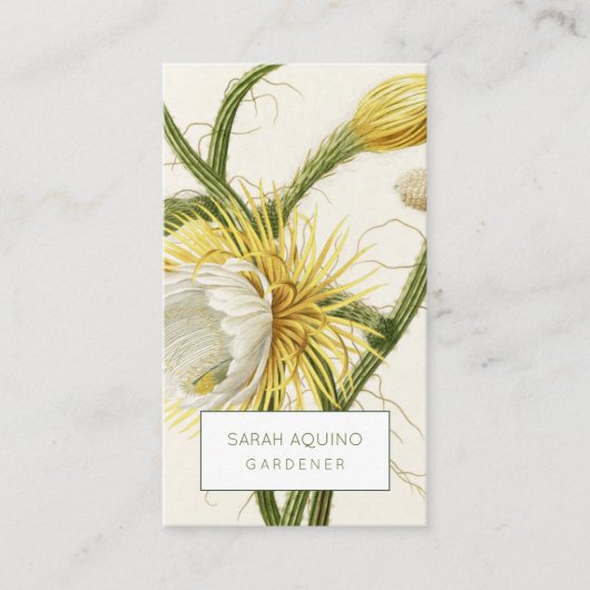 Carte De Visite Cactus rustique Lune (Devant)