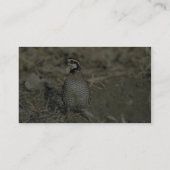 Carte De Visite Cailles (Dos)