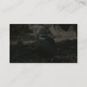 Carte De Visite Cailles (Dos)