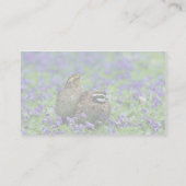 Carte De Visite Cailles du nord (Dos)