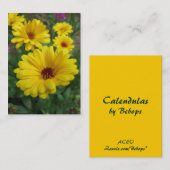 Carte De Visite Calendulas ATC (Devant / Derrière)