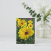 Carte De Visite Calendulas ATC (Debout devant)