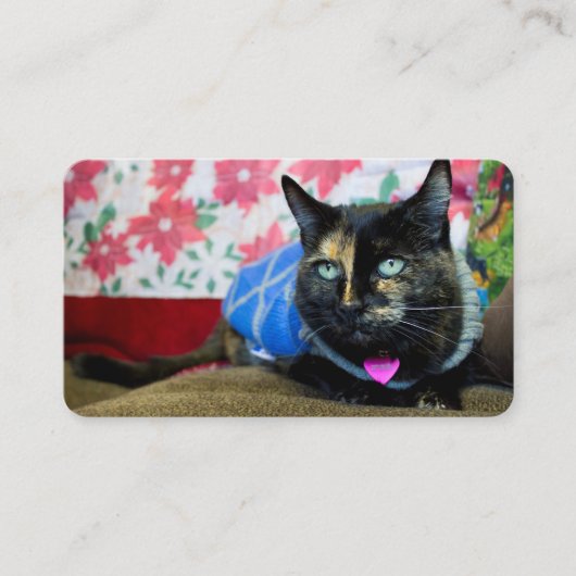 Carte De Visite Calico III (Devant)