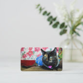 Carte De Visite Calico III (Debout devant)