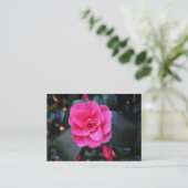 Carte De Visite Camélia rose (Debout devant)