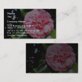 Carte De Visite Camellia (Devant / Derrière)