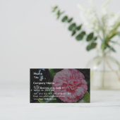 Carte De Visite Camellia (Debout devant)