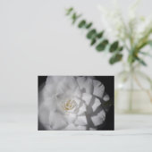 Carte De Visite Camellia blanche (Debout devant)