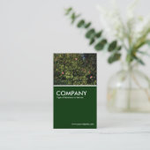 Carte De Visite Camellia Bush - Vert foncé (Debout devant)