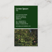 Carte De Visite Camellia Bush - Vert foncé (Dos)
