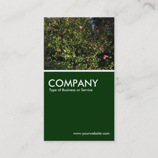 Carte De Visite Camellia Bush - Vert foncé (Devant)