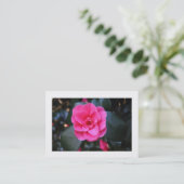 Carte De Visite Camellia Rose (Bordé) (Debout devant)