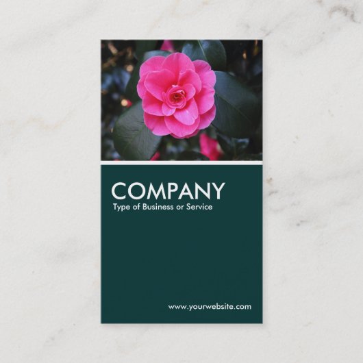 Carte De Visite Camellia rose - Vert foncé 02 (Devant)