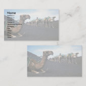 Carte De Visite Camels, Lanzarote (Devant / Derrière)