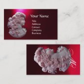 CARTE DE VISITE CAMEO ANTIQUE, DAME AUX RAISONS ET AUX GRAPEVINES (Devant / Derrière)