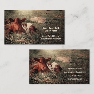 Carte De Visite Campagne Rustique Vache Boeuf Et Ferme Laitière