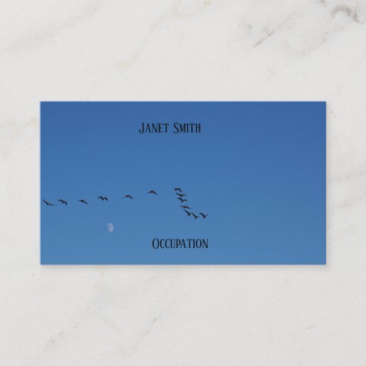 Carte De Visite Canadian geese (Devant)