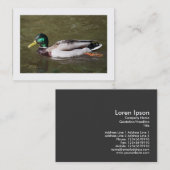 Carte De Visite Canard à colle (Bordé) (Devant / Derrière)