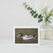 Carte De Visite Canard à colle (Bordé) (Debout devant)