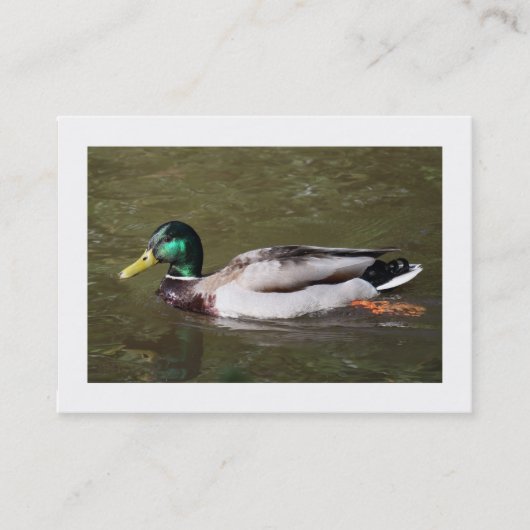 Carte De Visite Canard à colle (Bordé) (Devant)
