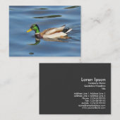 Carte De Visite Canard colvert (Devant / Derrière)