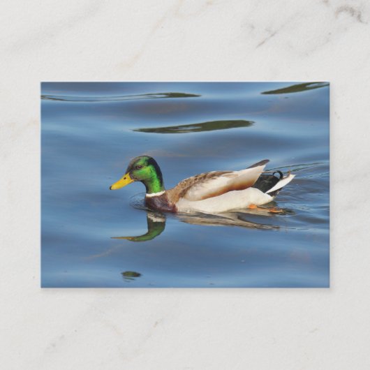 Carte De Visite Canard colvert (Devant)