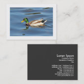 Carte De Visite Canard colvert (bordé) (Devant / Derrière)