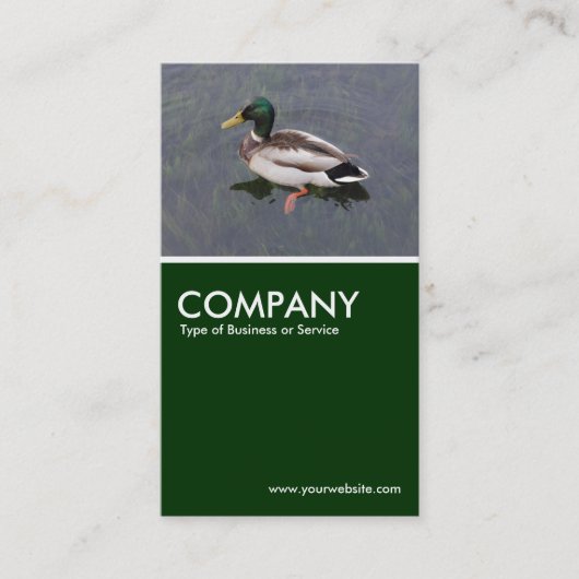 Carte De Visite Canard de Majard - Vert foncé (Devant)
