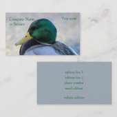Carte De Visite Canard de Mallard (Devant / Derrière)