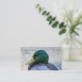 Carte De Visite Canard de Mallard (Debout devant)