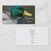 Carte De Visite Canard de Mallard (Devant / Derrière)