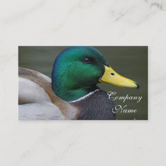 Carte De Visite Canard de Mallard (Devant)