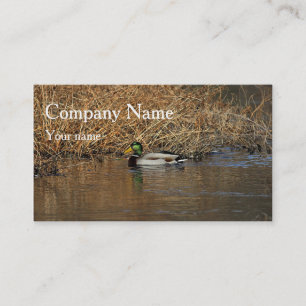 Carte De Visite Canard de Mallard
