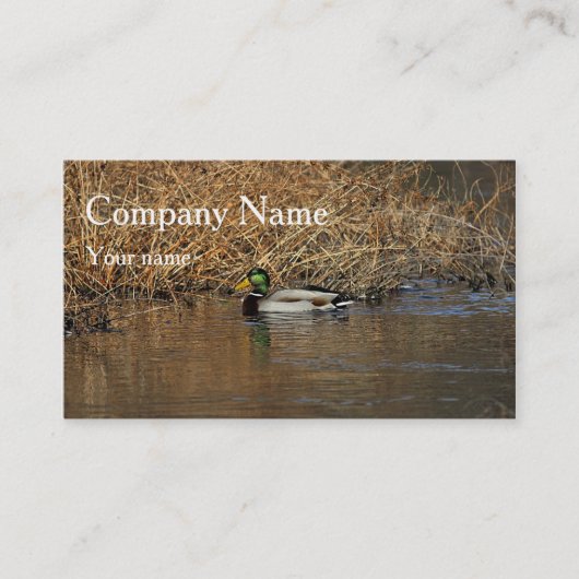 Carte De Visite Canard de Mallard (Devant)