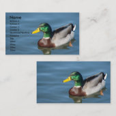 Carte De Visite Canard De Mallard Dans L'Eau Bleue (Devant / Derrière)