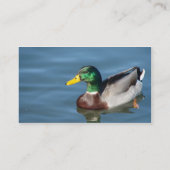 Carte De Visite Canard De Mallard Dans L'Eau Bleue (Dos)